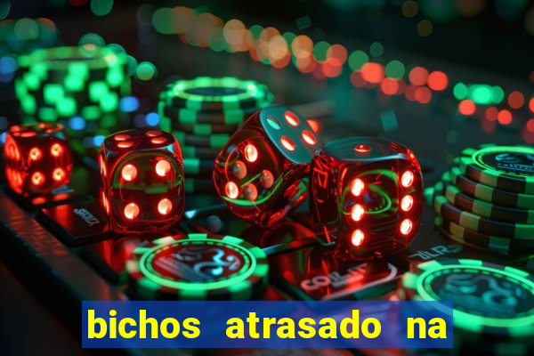 bichos atrasado na loteria dos sonhos